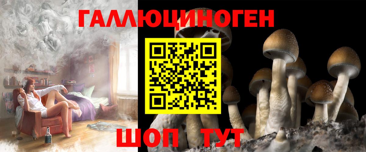 Нижний Тагил  Псилоцибиновые грибы GOLDEN TEACHER  Вход с VPN 